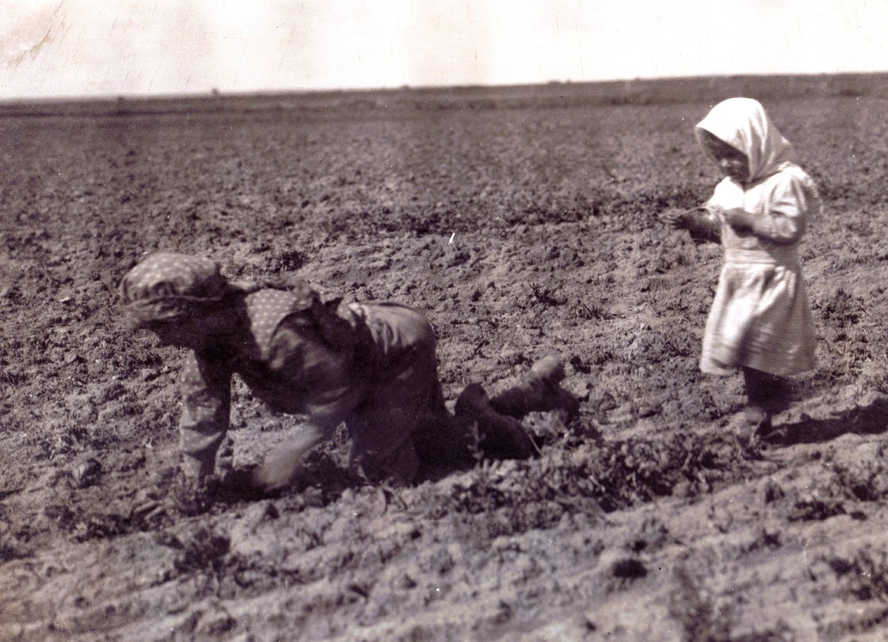 Unbekanntes Bild von Lewis Wickes Hine