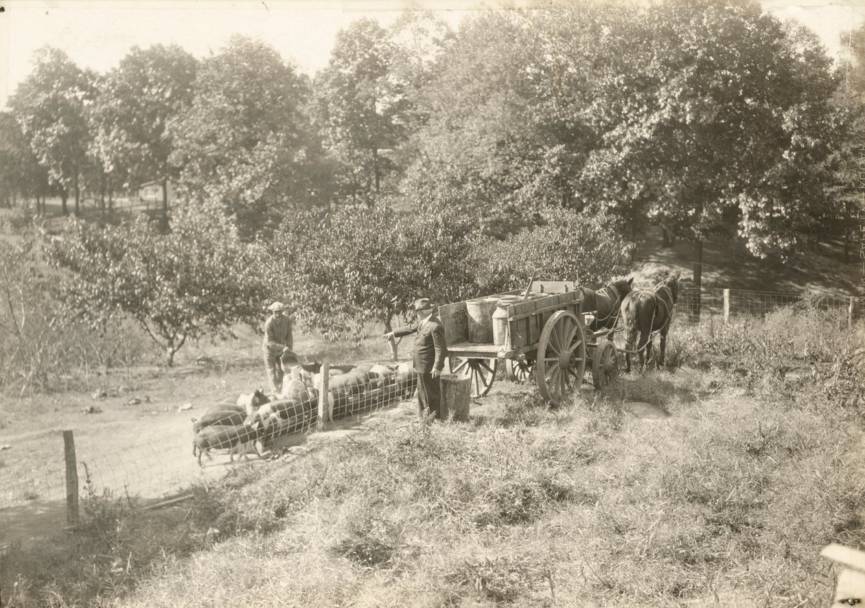 Ohne Titel von Lewis Wickes Hine