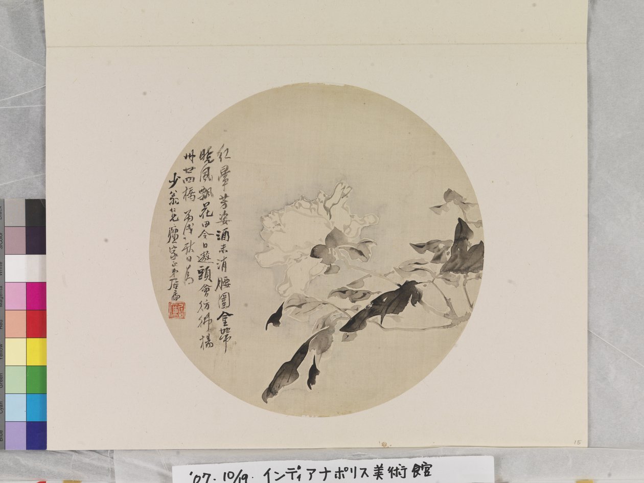 Weiße Pfingstrose von Lian Ju