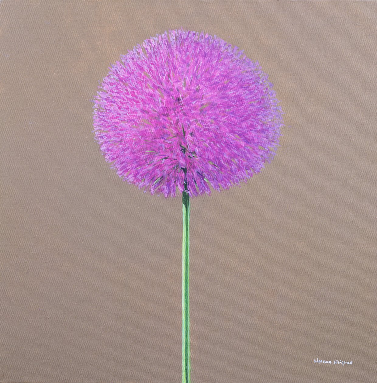Alium von Lincoln Seligman