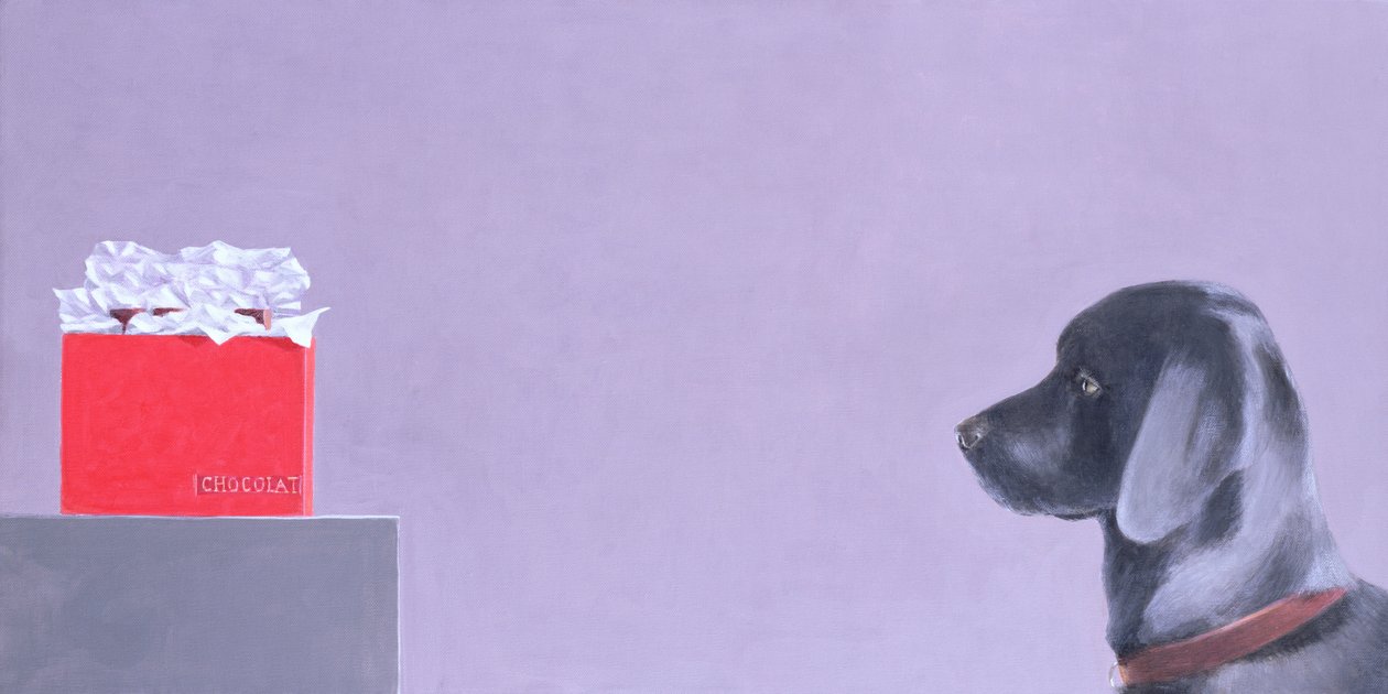 Schokoladensüchtig von Lincoln Seligman