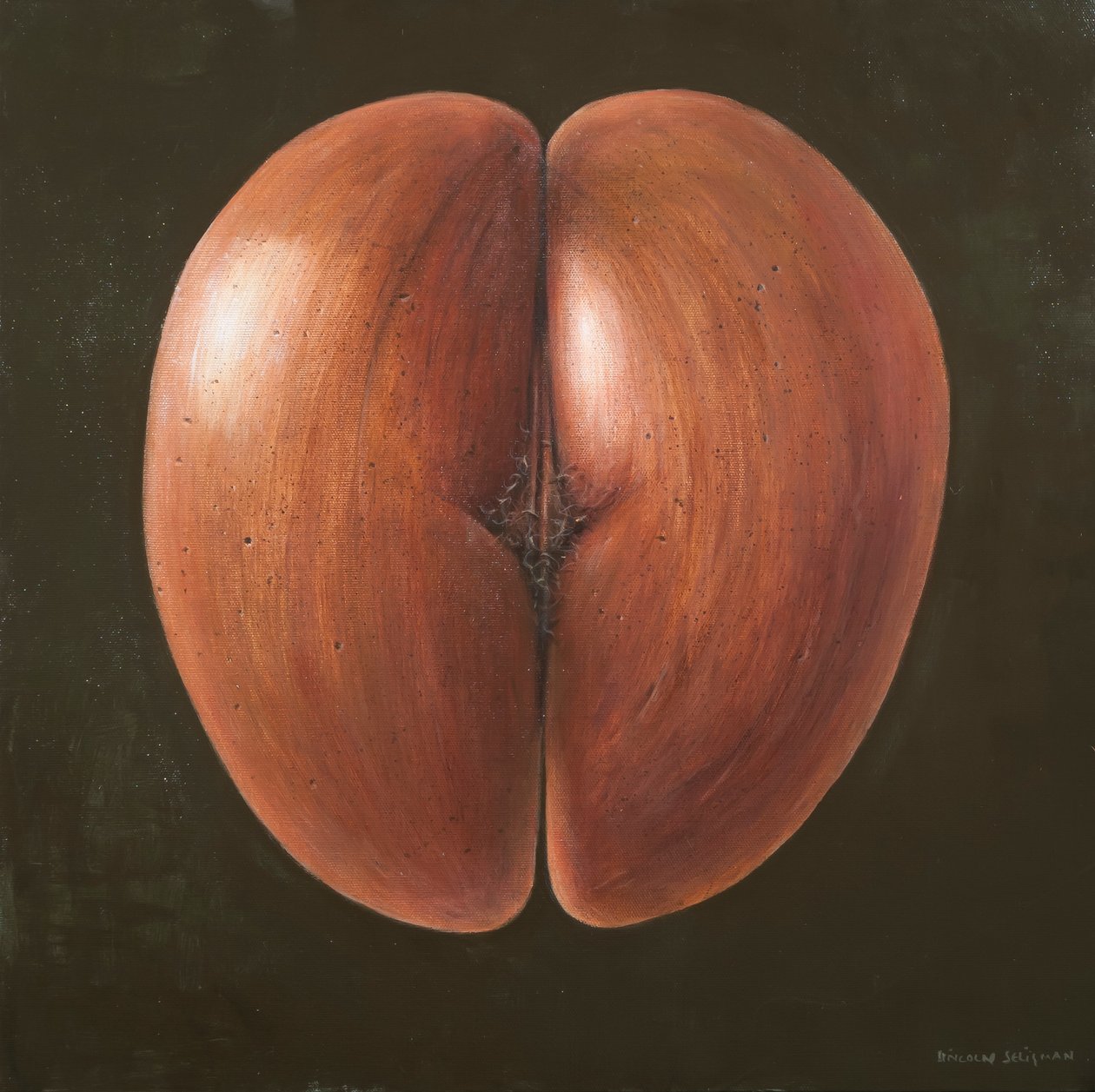 Coco de Mer, Malediven, 2012 von Lincoln Seligman