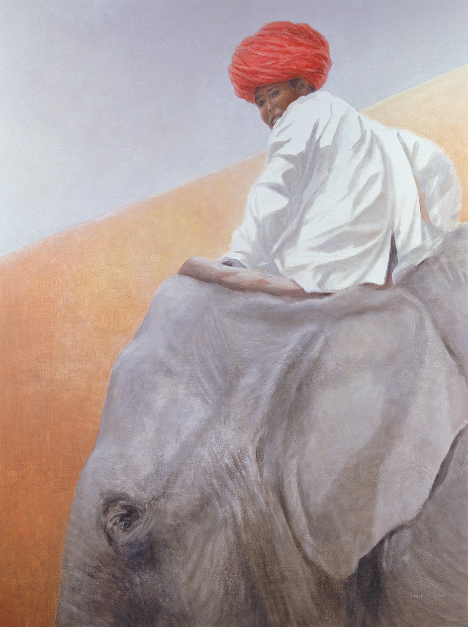 Elefantenjunge von Lincoln Seligman