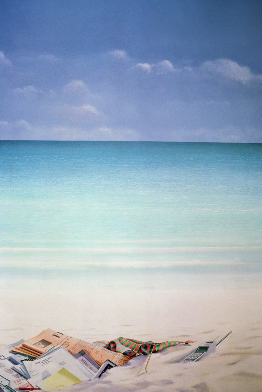 Sonne, Sand und Geld I von Lincoln Seligman