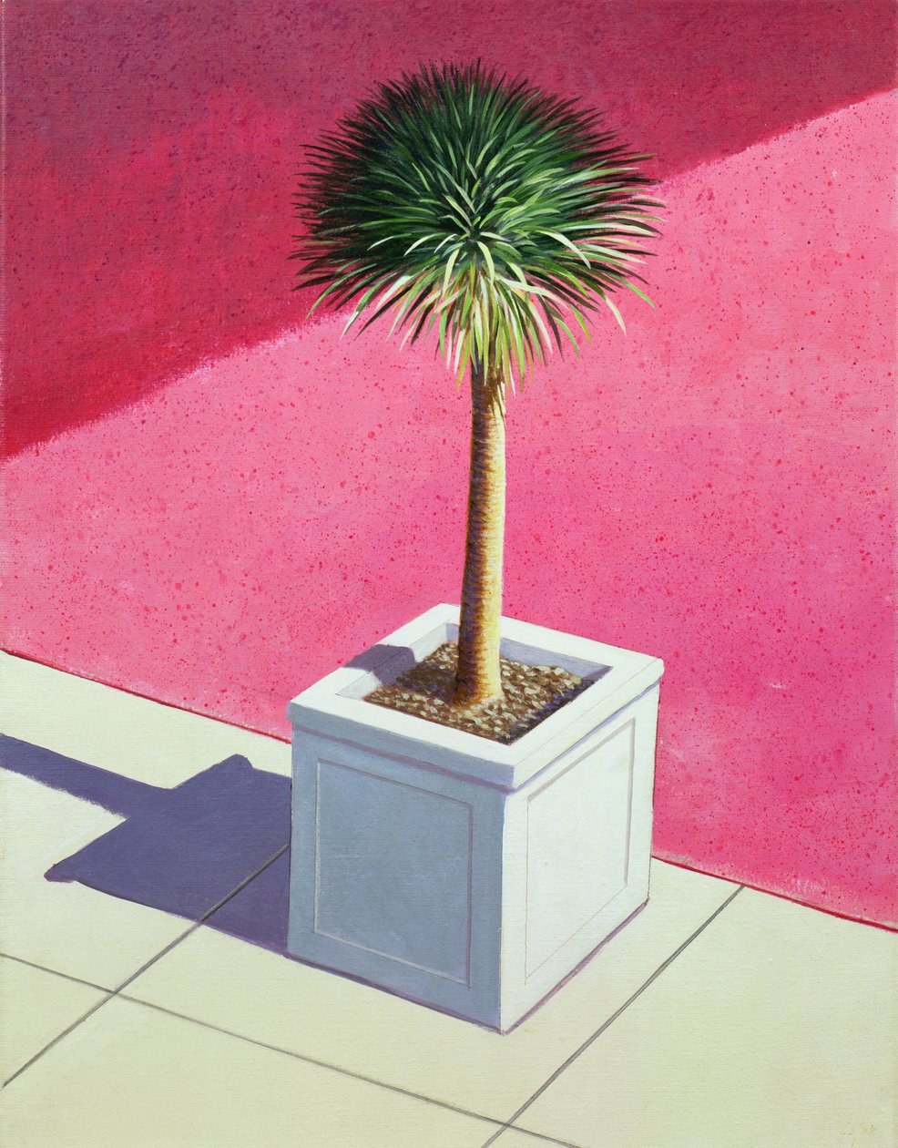 Kleine Palme, 1995 von Lincoln Seligman