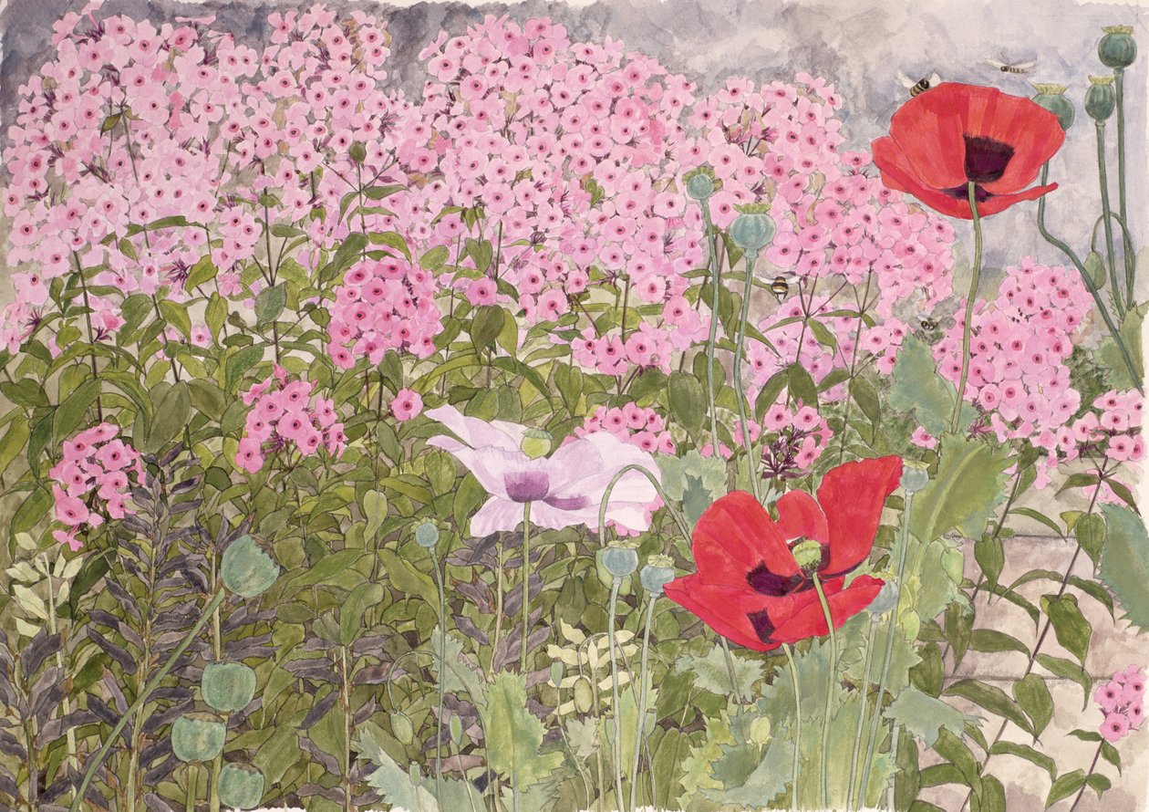 Mohnblumen und Phlox von Linda Benton