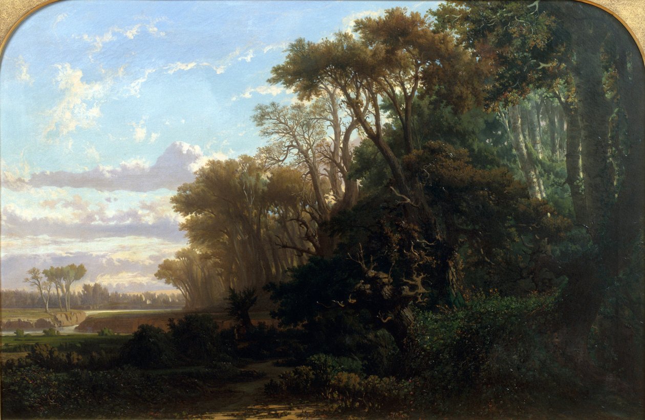Landschaft mit Wäldern von Lluís Rigalt