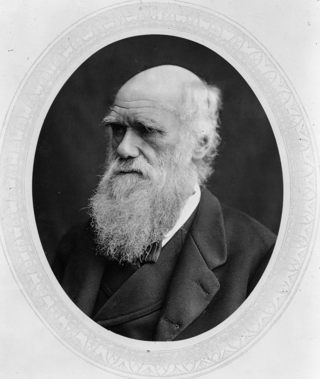 Charles Robert Darwin von Lock and Whitfield
