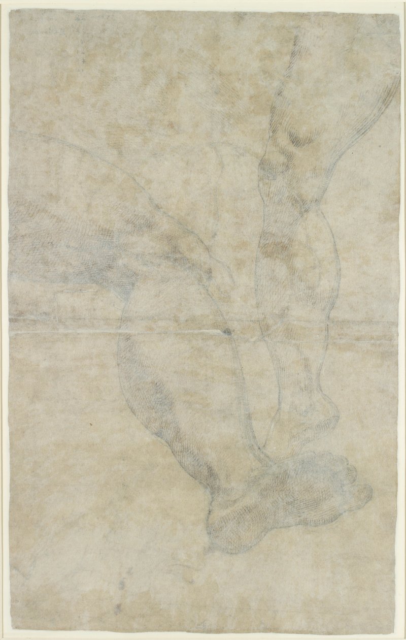 Studien von zwei Beinpaaren, ca. 1575-1615 von Lodovico Carracci