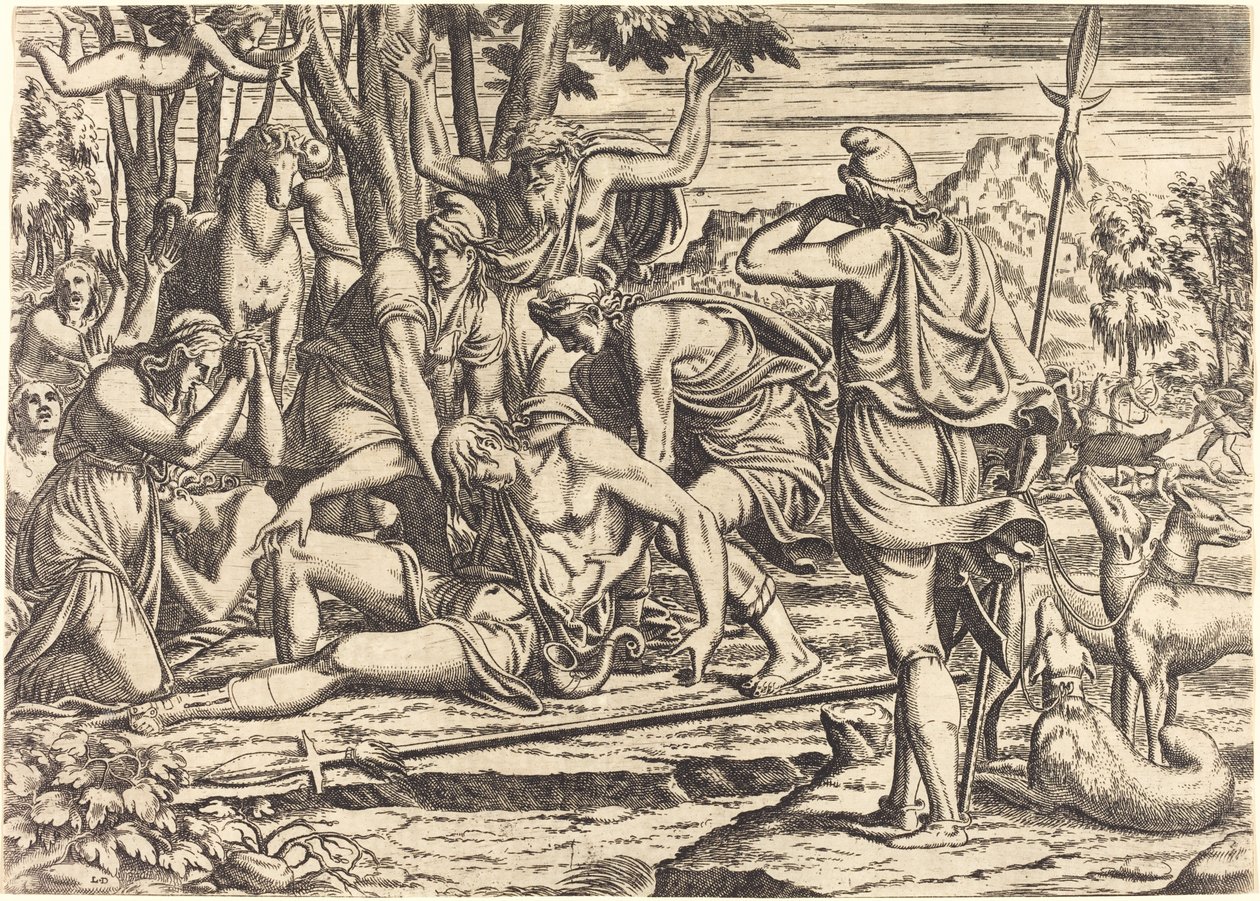 Der Tod des Adonis von Léon Davent after Luca Penni