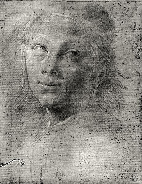 Kopf eines jungen Mannes von Lorenzo di Credi