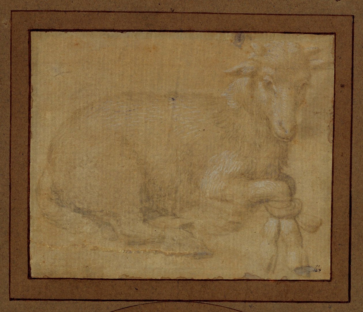 Studie eines Lamms von Lorenzo di Credi