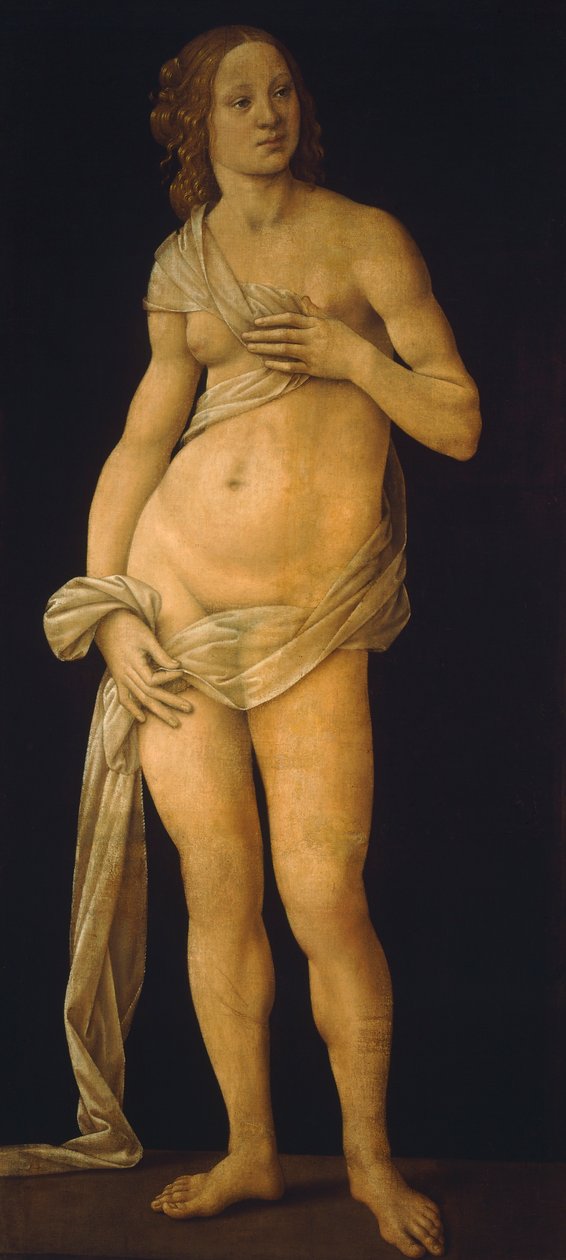 Venus von Lorenzo di Credi