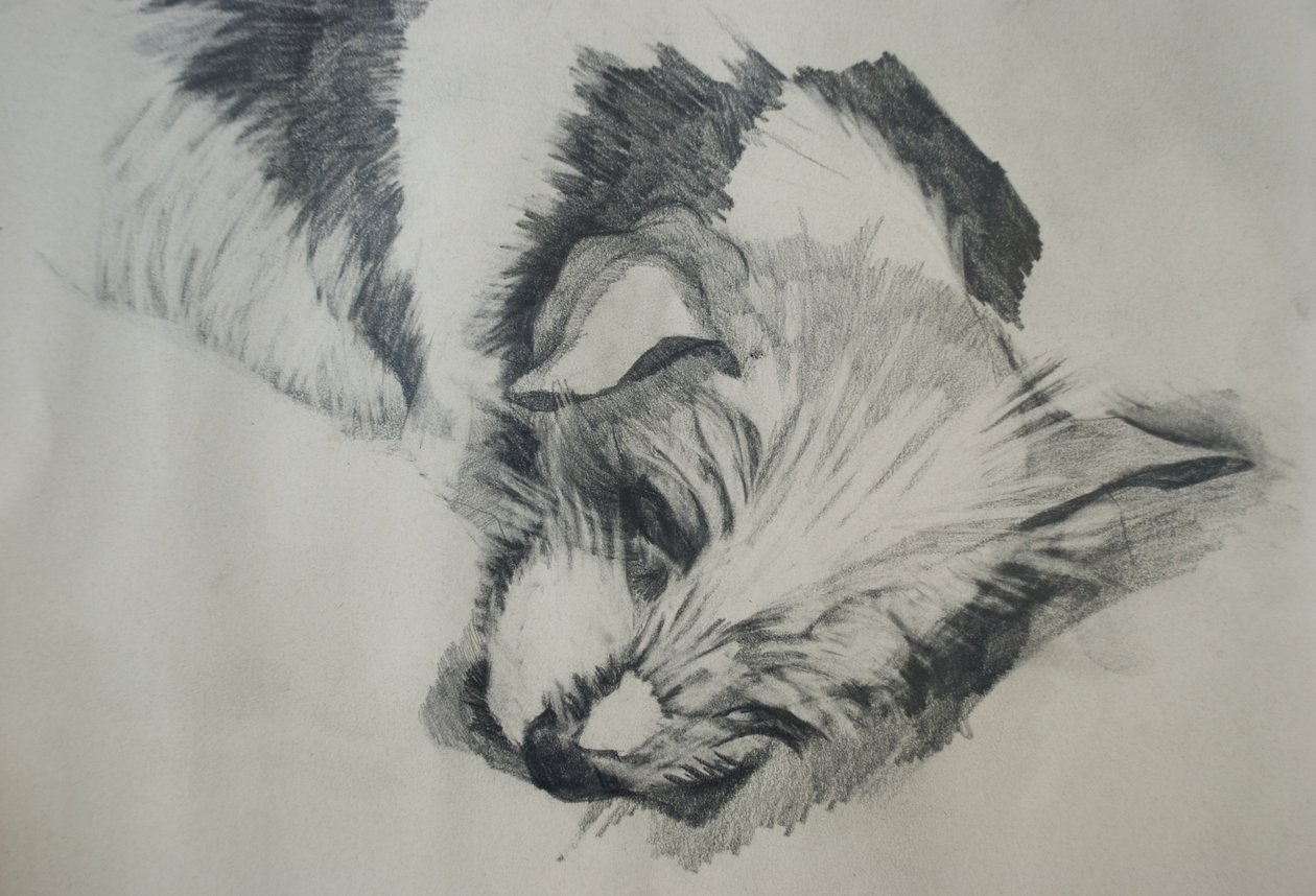 Jack Russel von Lou Gibbs