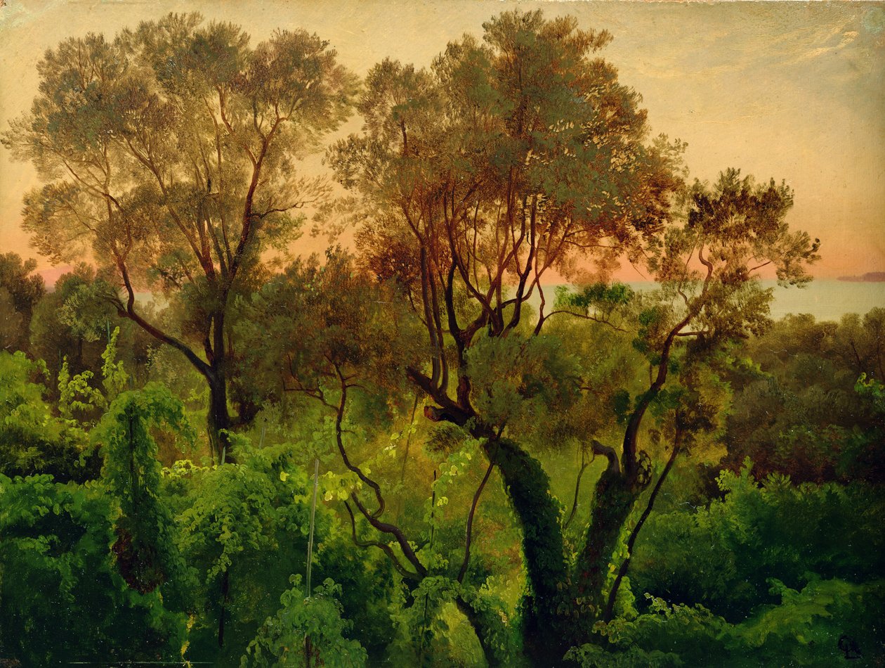 Hang mit Olivenbäumen von Louis Gurlitt