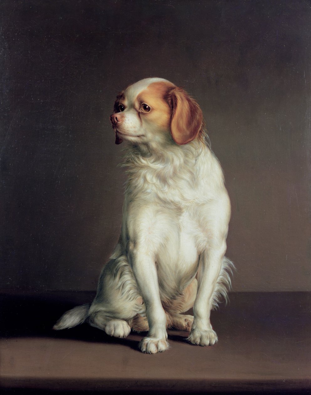 Porträt eines King Charles Spaniels von Louis Leopold Boilly
