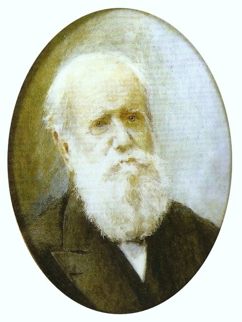 Pedro II von Brasilien von Louis Robert de Cuvillon