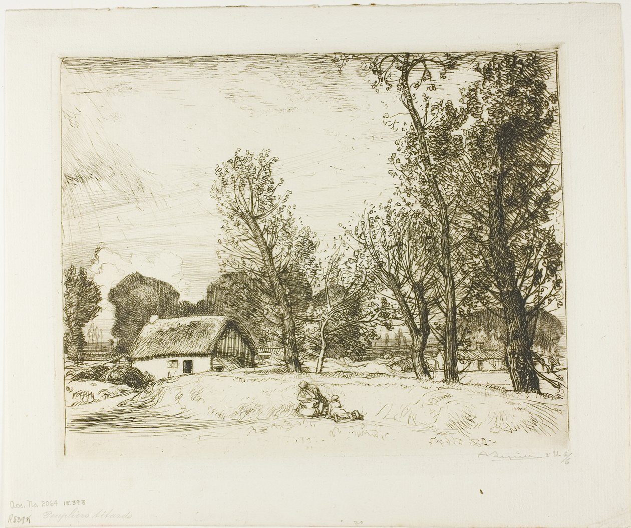Kahlkopfpappeln von Louis Auguste Lepère