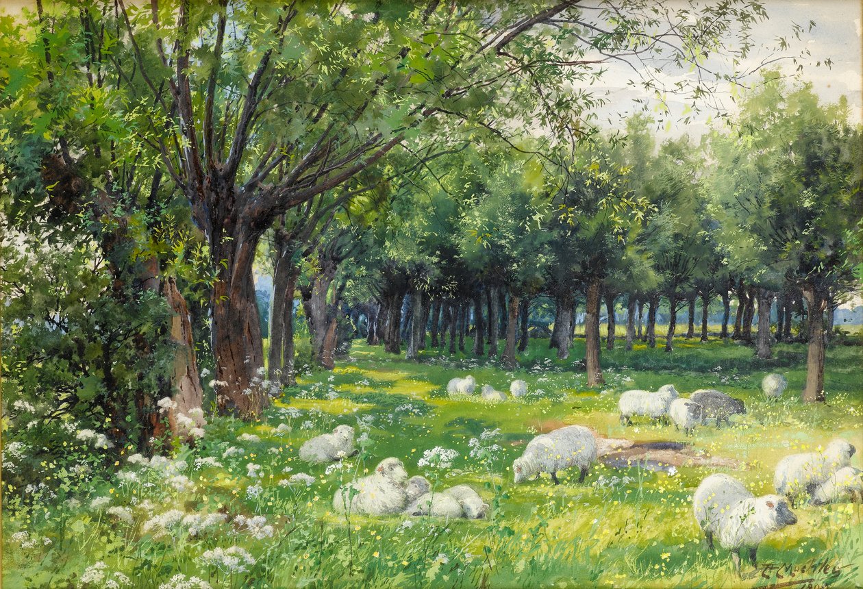 Schafe in einem Obstgarten im Frühling von Louis Fairfax Muckley