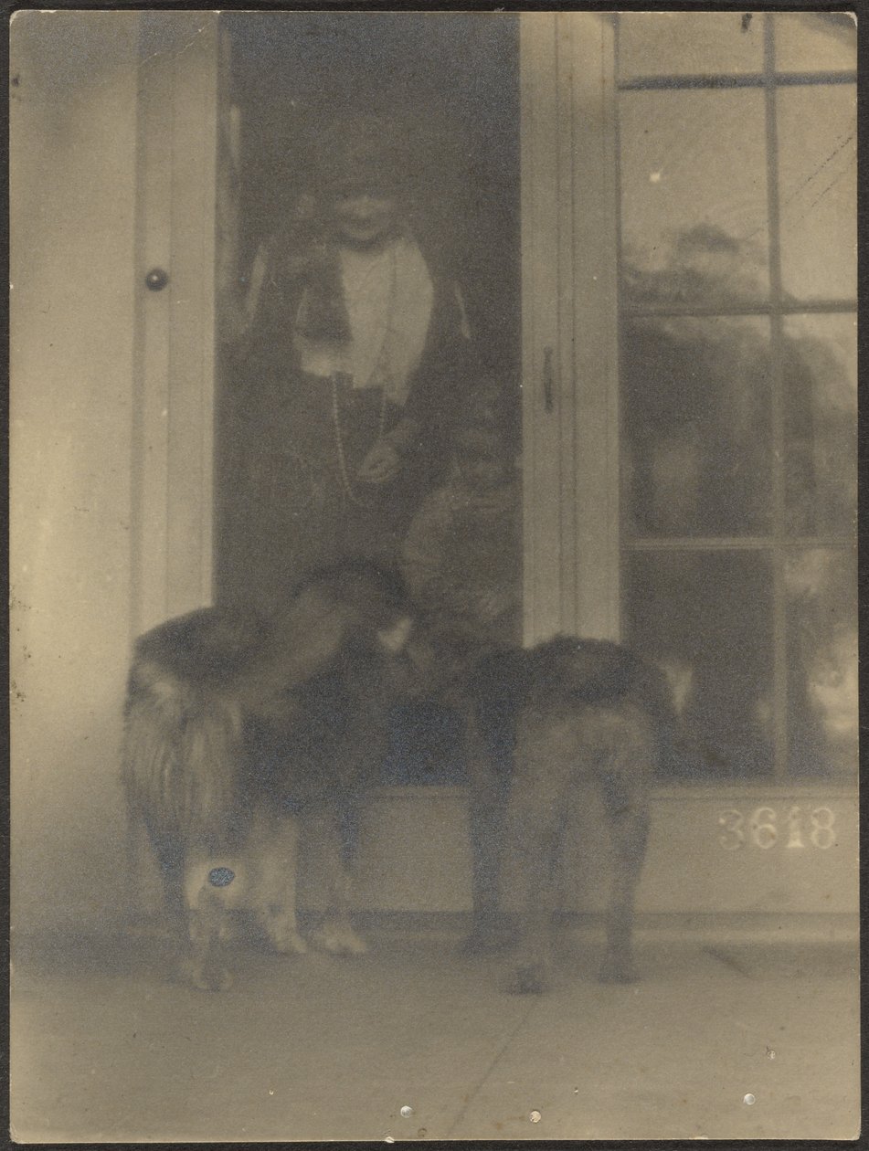Hunde an der Tür von Louis Fleckenstein