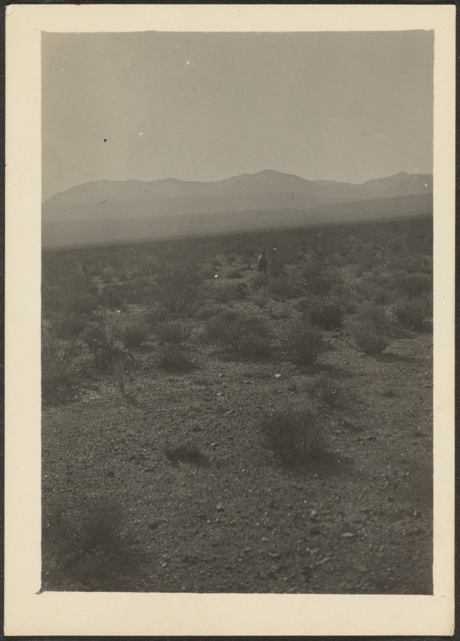 [Landschaft] von Louis Fleckenstein