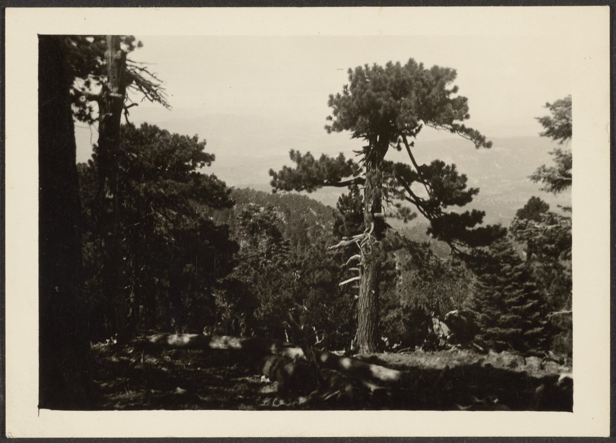 Landschaft von Louis Fleckenstein