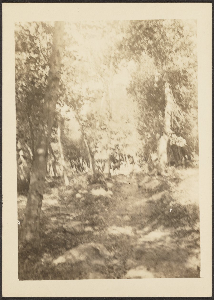 Landschaft mit Wildhirschen von Louis Fleckenstein