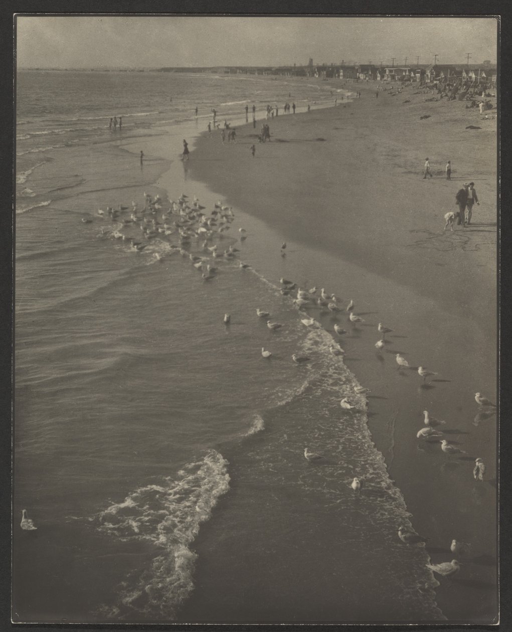 Newport Beach von Louis Fleckenstein