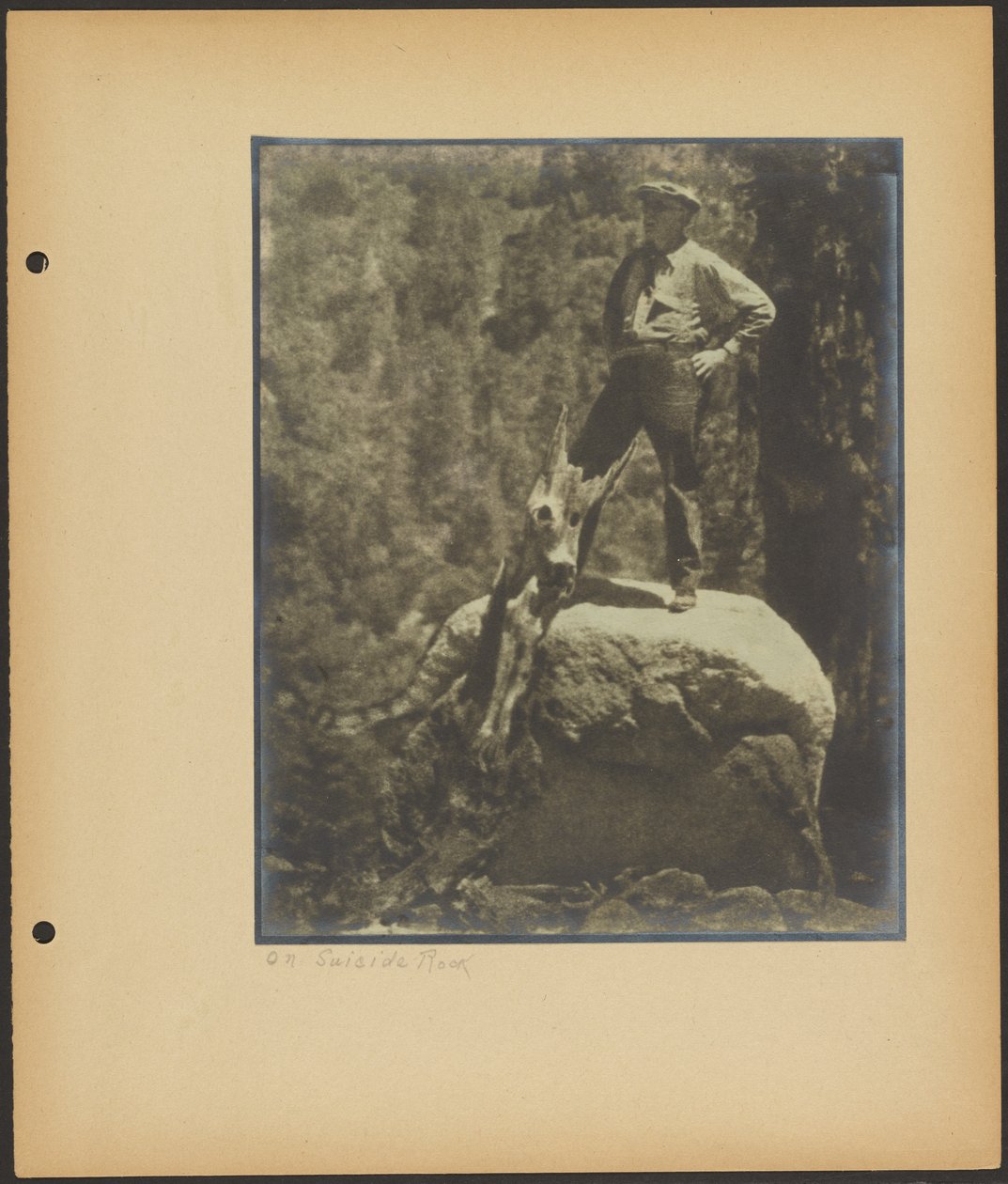 Auf dem Selbstmordfelsen von Louis Fleckenstein