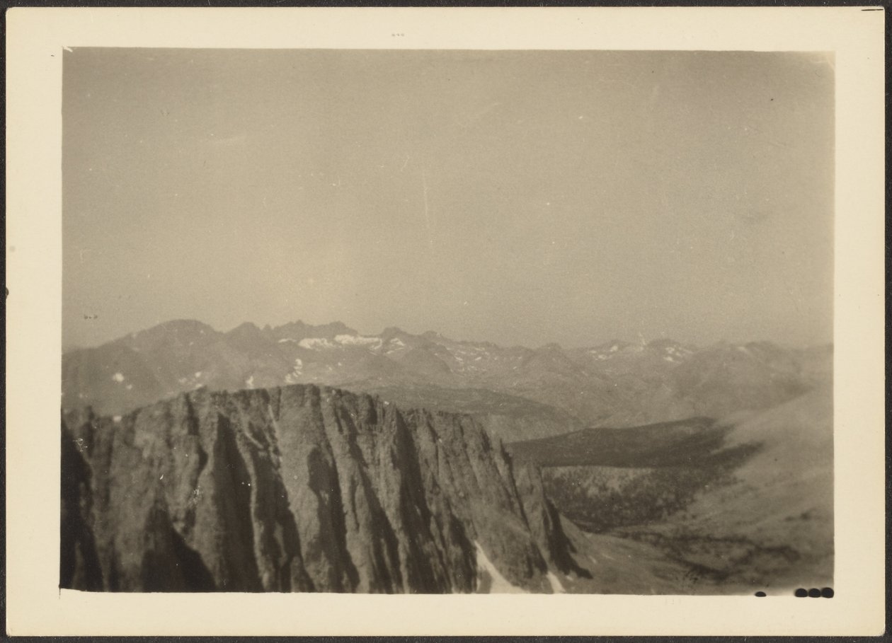 [Sequoia Park] von Louis Fleckenstein