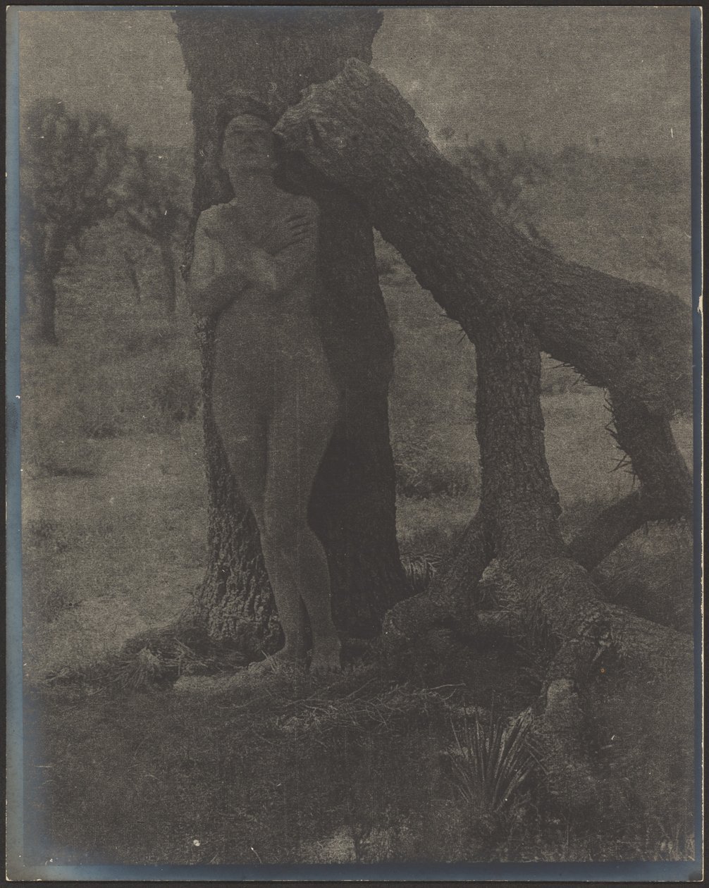 Geist des Joshua von Louis Fleckenstein
