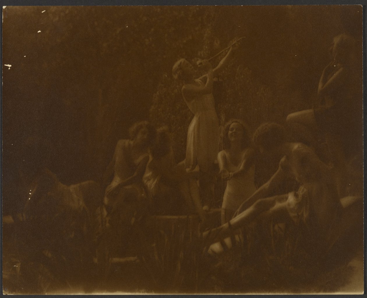 Seerosen von Louis Fleckenstein