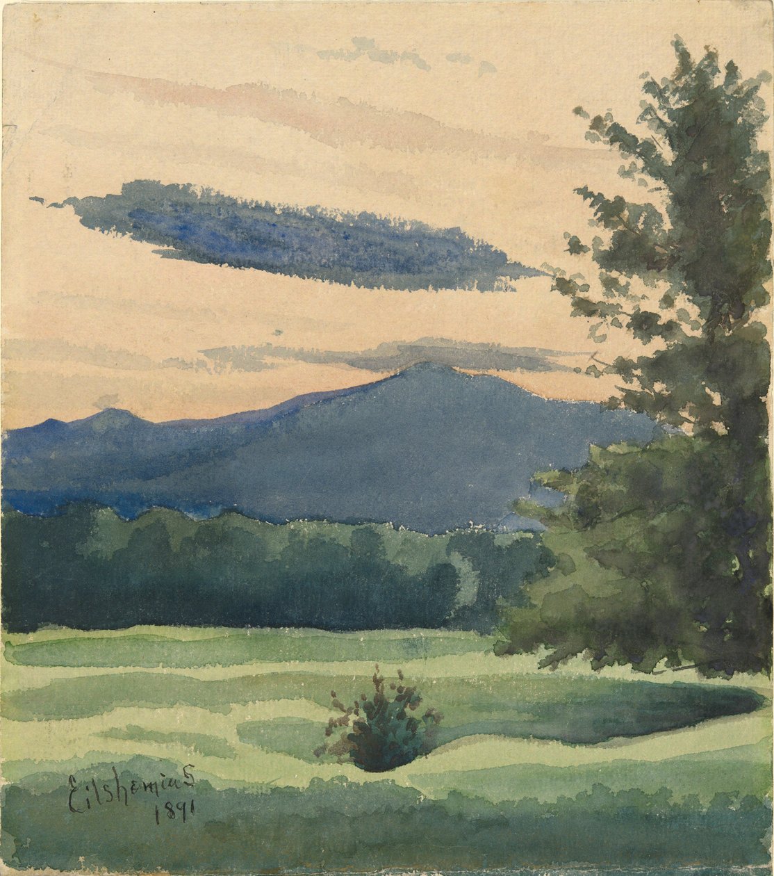 Grüne Wiese von Louis Michel Eilshemius
