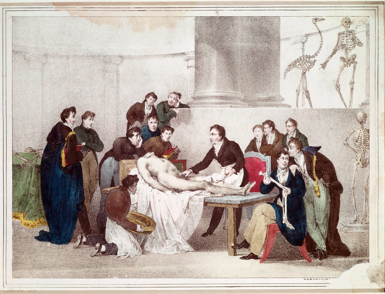 Die Anatomie-Lektion (Lithographie) von Louis Thomas Bardel