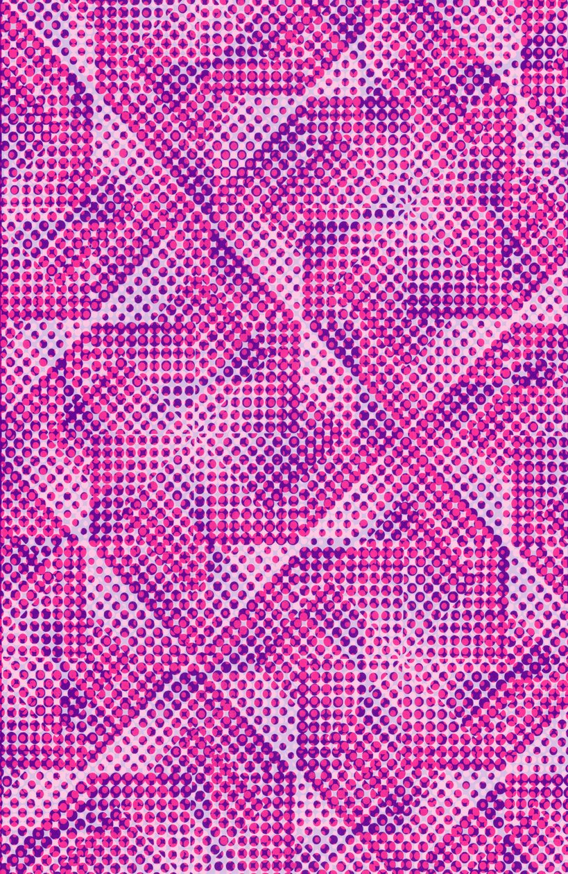 Dotty (digital) von Louisa Hereford