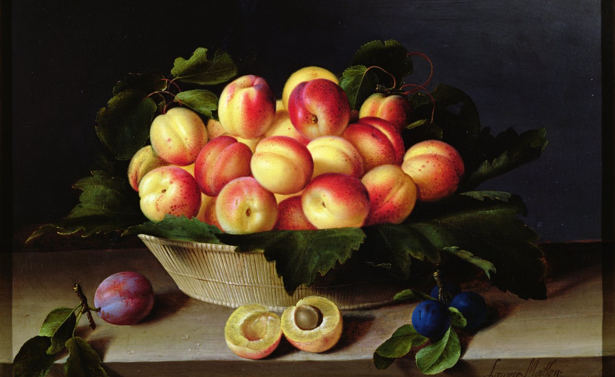 Korb mit Aprikosen, 1634 von Louise Moillon