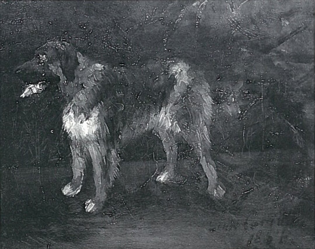 Hundestudien von Lovis Corinth
