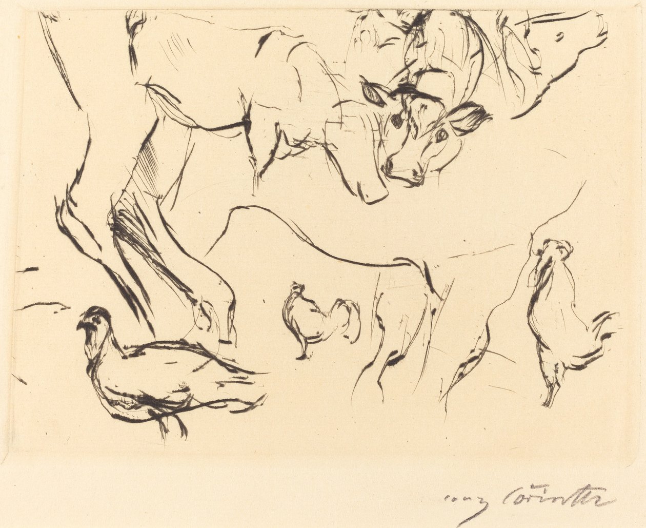 Verschiedene Tierstudien von Lovis Corinth