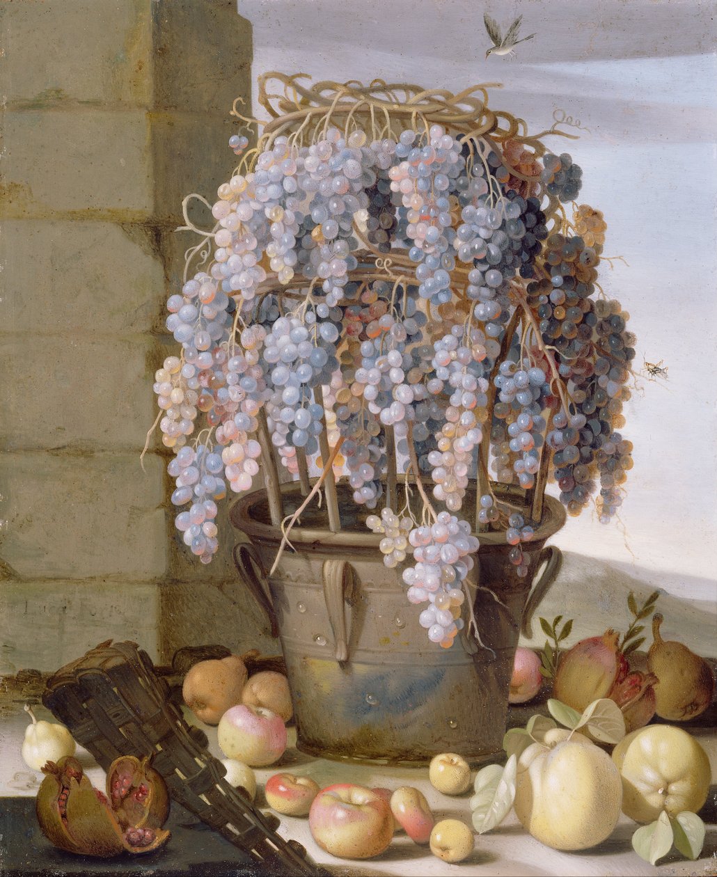 Stillleben mit Trauben und anderem Obst von Luca Forte