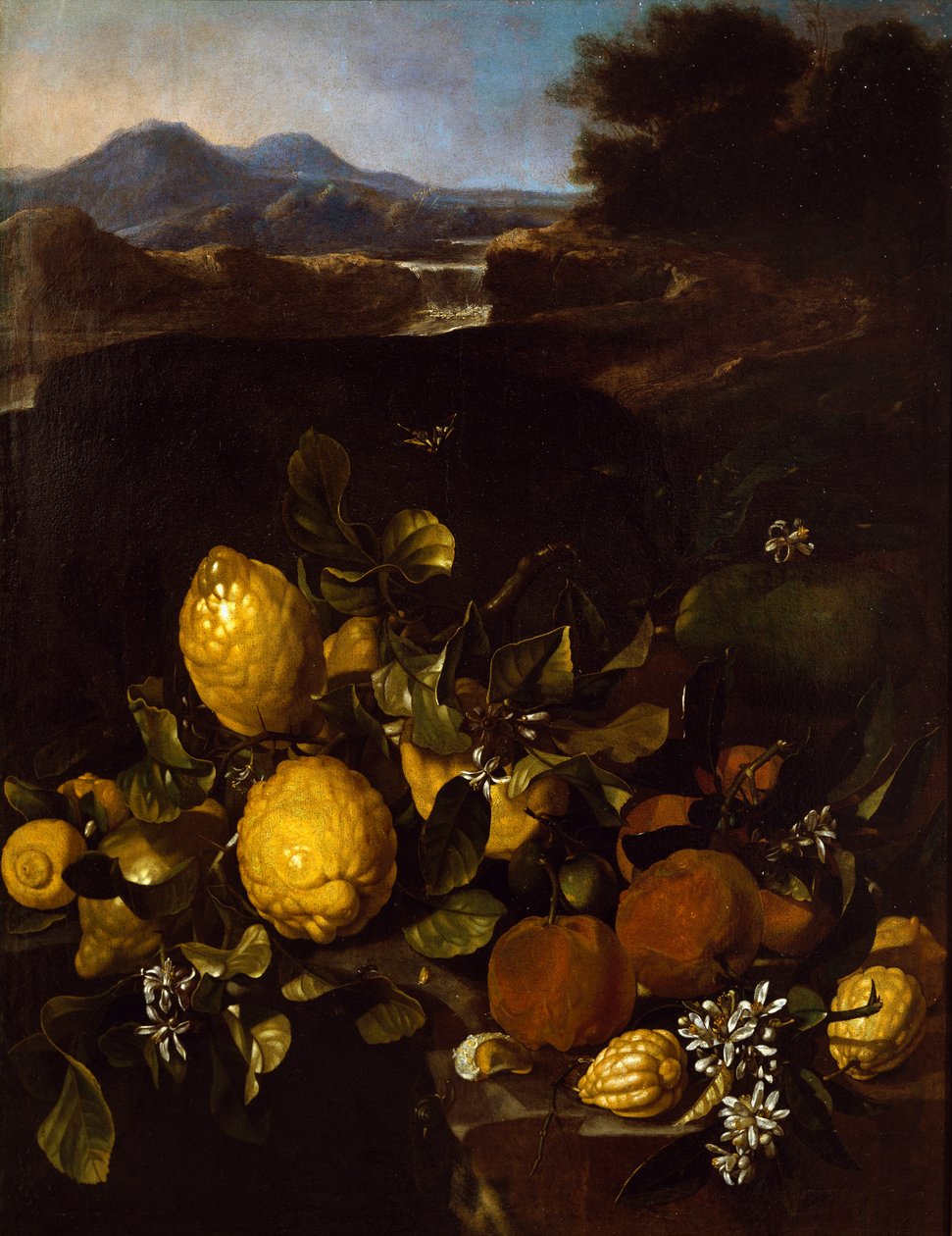 Stillleben von Luca Forte