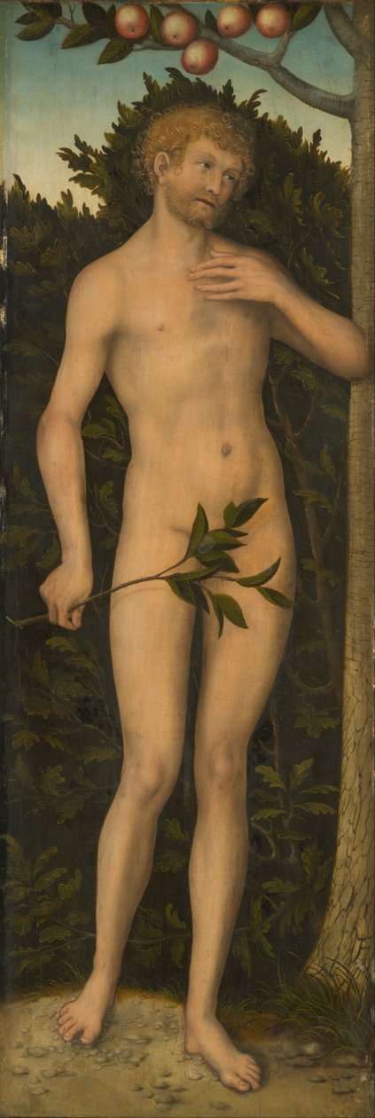 Adam von Lucas Cranach the Elder