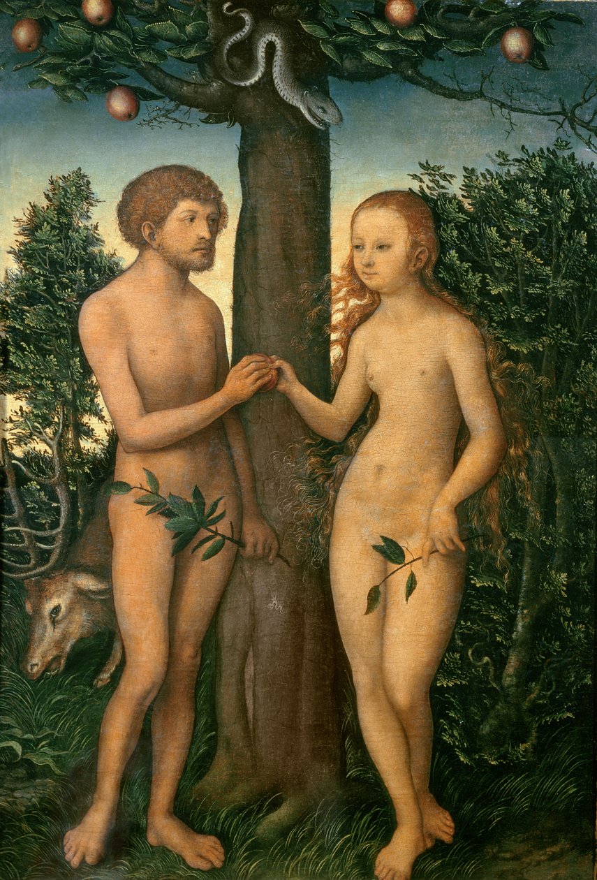Adam und Eva von Lucas Cranach the Elder