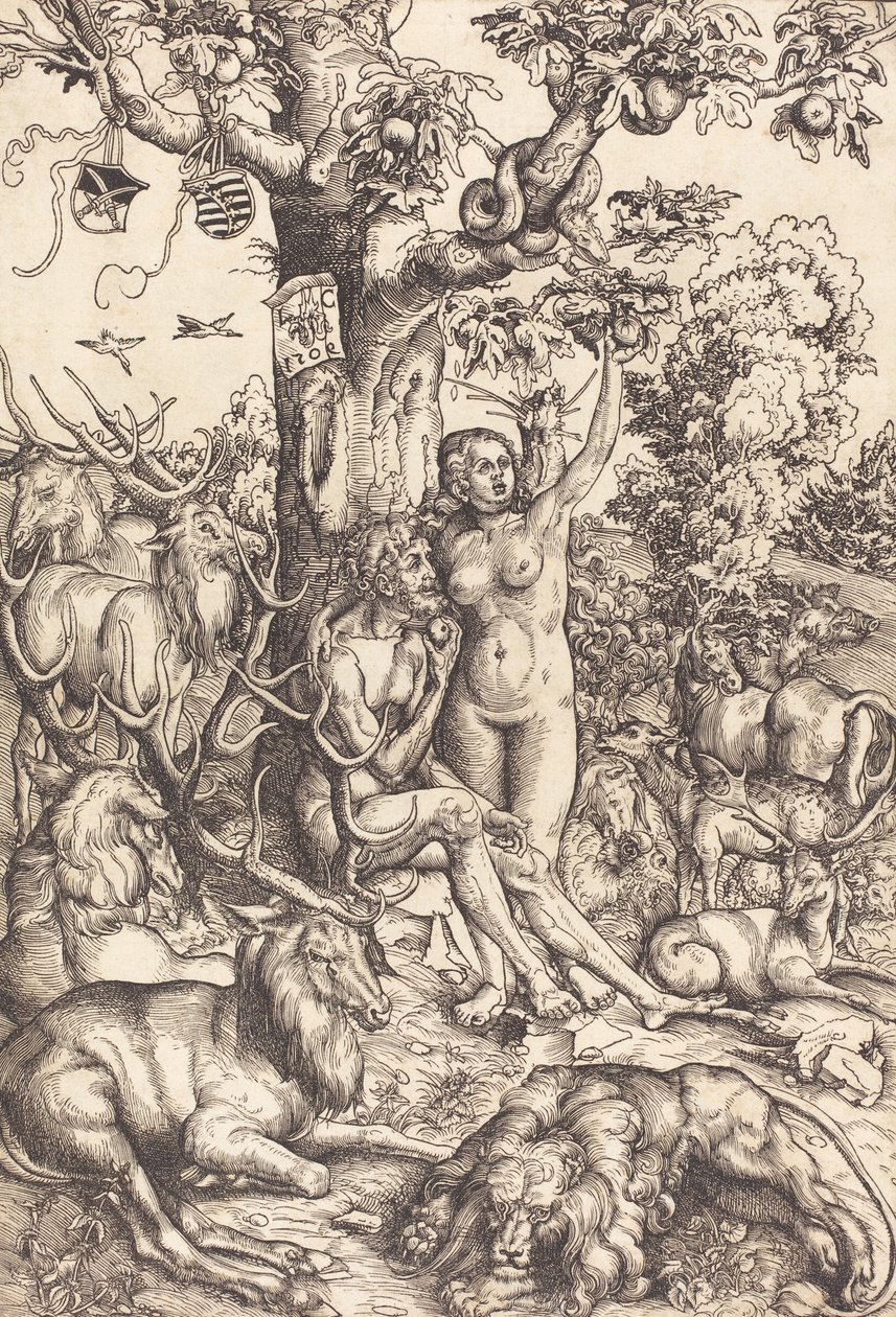Adam und Eva von Lucas Cranach the Elder