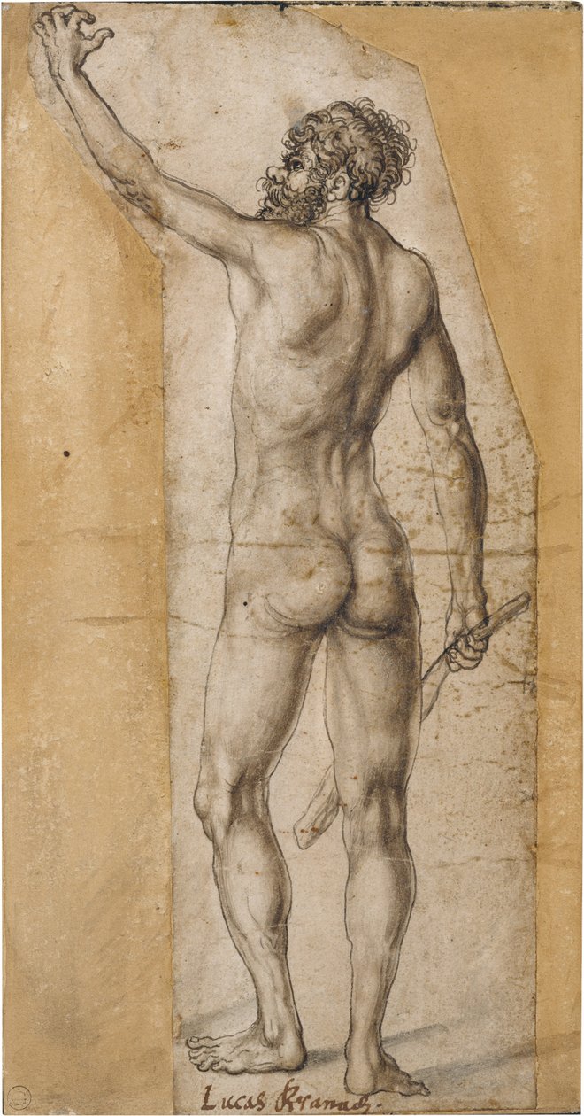 Rückenakt eines stehenden Mannes von Lucas Cranach the Elder