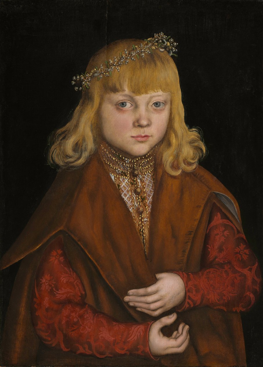 Ein Prinz von Sachsen von Lucas Cranach the Elder