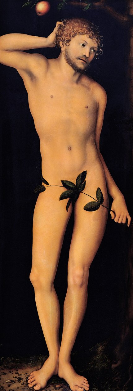 Adam, 1528 von Lucas Cranach the Elder