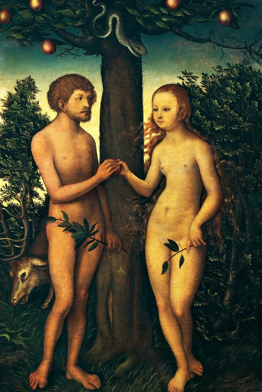 Adam und Eva von Lucas Cranach the Elder