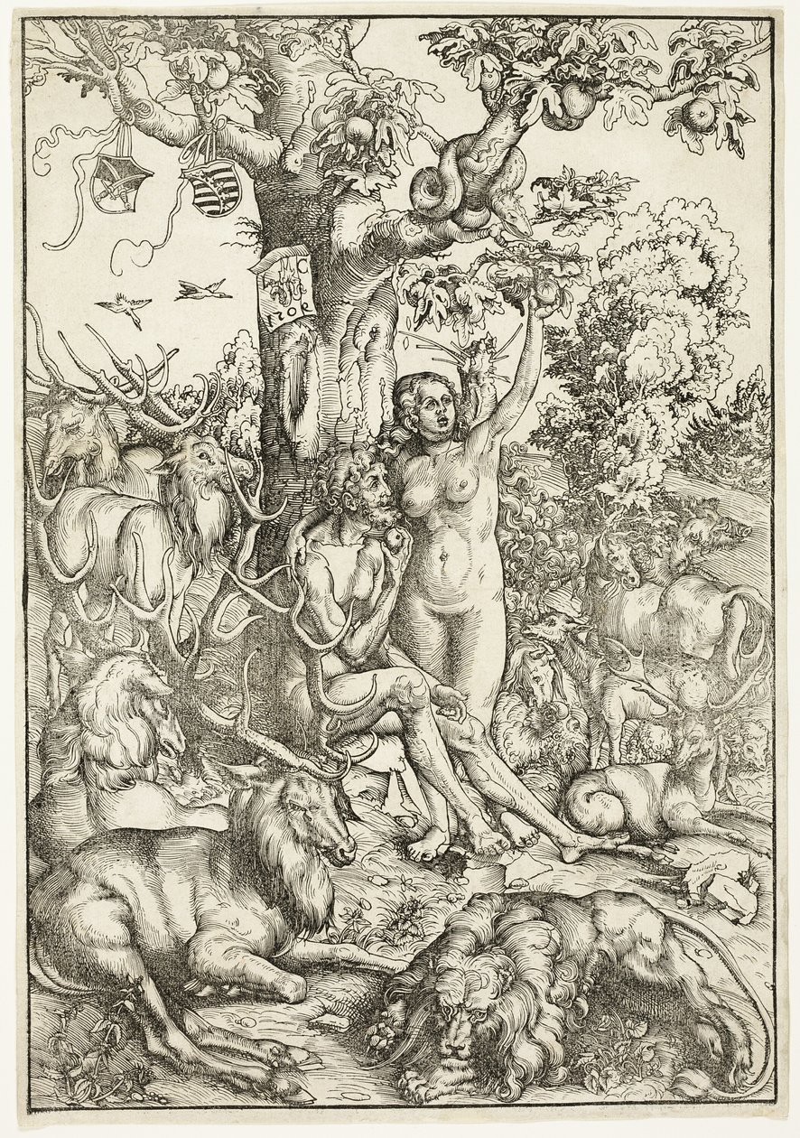 Der Sündenfall von Lucas Cranach the Elder