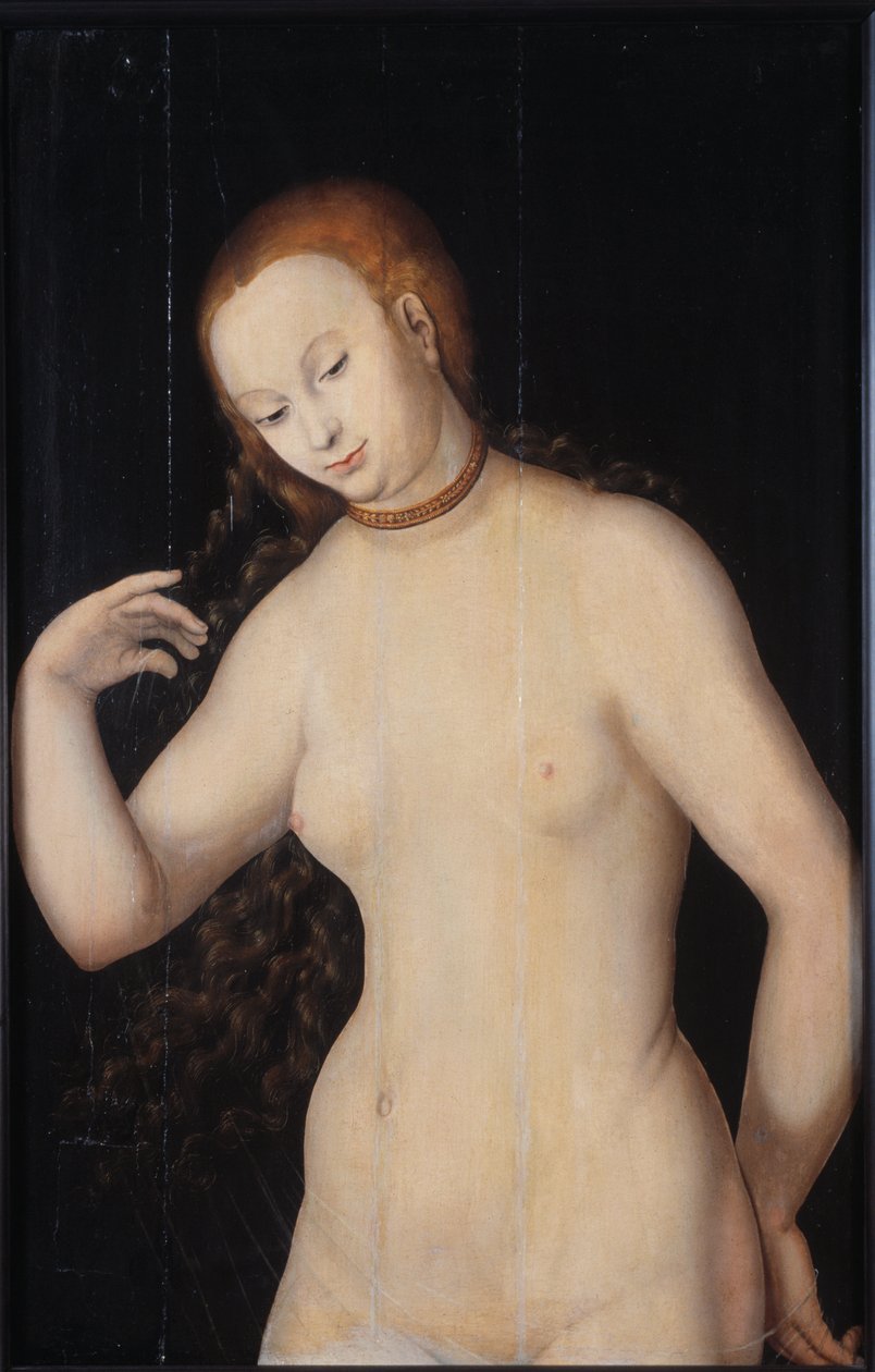 Venus, zwischen 1527 und 1531 von Lucas Cranach the Elder