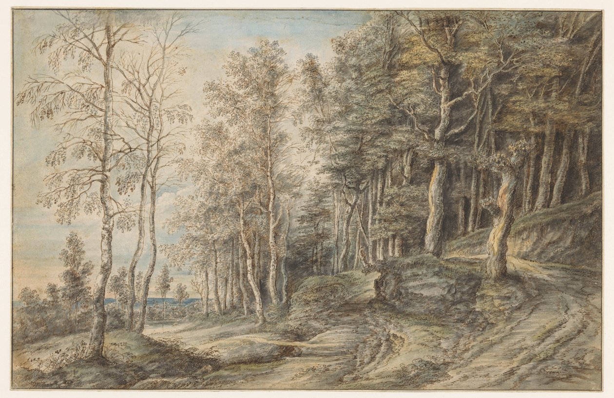 Waldlandschaft von Lucas van Uden